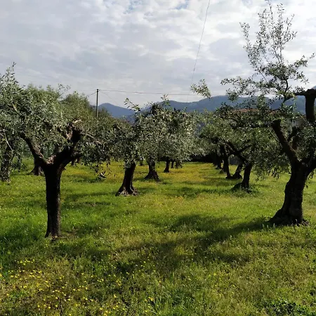 Agriturismo La Vite Maritata-3